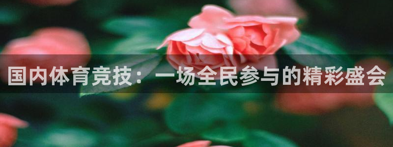 哈哈体育：国内体育竞技：一场全民参与的精彩盛会