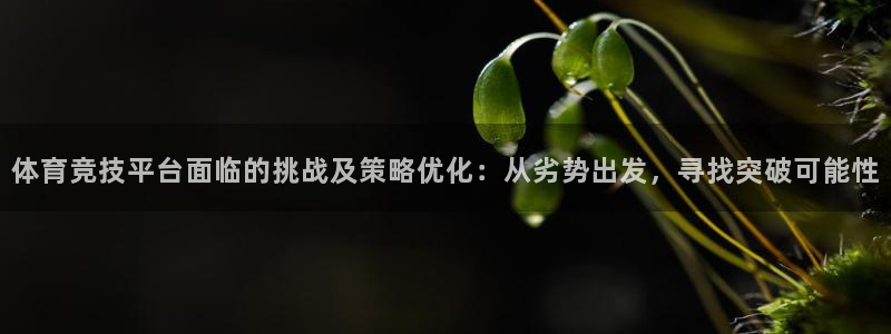 哈哈体育：体育竞技平台面临的挑战及策略优化：从劣势出发，寻找突破可能性