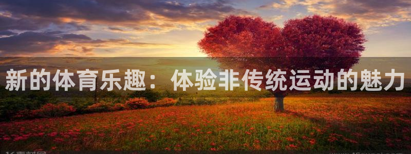哈哈体育下载：新的体育乐趣：体验非传统运动的魅力
