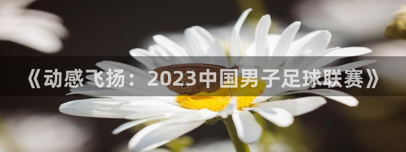 哈哈体育下载：《动感飞扬：2023中国男子足球联赛》