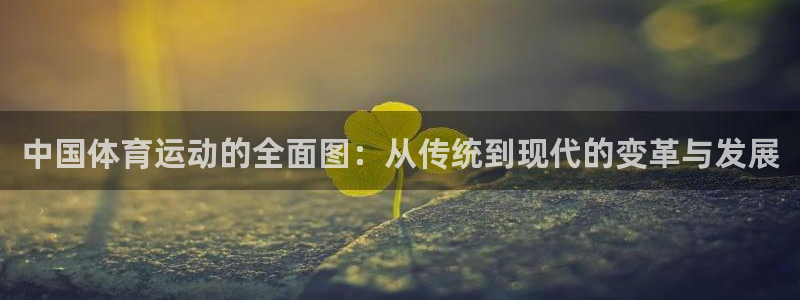 哈哈体育十年：中国体育运动的全面图：从传统到现代的变革与发展